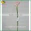 wholesale real touch flower high quality artificial Calla flower