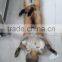 Real Silver Fur Skin / Natural Fox Fur Skin / Tanned Red Fox Fur Skin For Coat                        
                                                Quality Choice