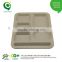 Eco-friendly biodegradable six compartment meal Tray                        
                                                Quality Choice