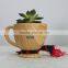 Design Cute Garden Decoration Small Resin Plant Nursery Pot
