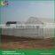 Agricultural plastic film for greenhouse, greenhouse plastic film