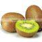fresh hayward kiwi