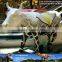 My Dino-C046 Handmade animated life-size fiberglass cow model