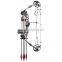compound bow fiberglass limbs 20-70lbs hunting bow for outdoor sports archery