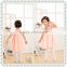 2016 Wholesale Price Super Lovely Girls Baby Dress Kids Wear Pink Baby Dress, High Quality Girls Shinny Dress