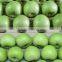 Largest Exporter Of Fresh Gala Apple From China