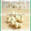 fresh white garlic from chinese garlic hometown Jinxiang