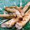 Competitive Price Fresh Horseradish
