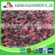 Wholesale frozen food freeze dried food from China
