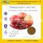 GMP Factory Supply High Quality Pomegranate Extract