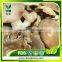 Dried Oyster mushrooms price
