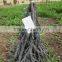 Wicker Christmas Tree