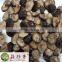 Free shipping canned fresh shiitake mushroom in brine salted water