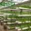 Growth in agricultural products for melon Planting trough