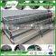 Hot Sale for China Egg Chicken Cage(ISO9001) for Poultry Farming