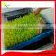 2016 cheap price Bud Seeding Machine,Automatic Mung Bean Sprout Machine Buy Direct From China Factory