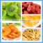 Cabinet industrial food dryer machine/herb drying machine/fruits dehydrator machine