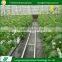 Hot sale agricultural system plants grow greenhouse hydroponics