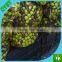 Three years life sun shade enclosure net animal catching nets