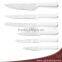Factory Wholesale 5pcs Stainless Steel Kitchen Knife Set With ABS Handle