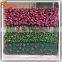 High Quality Lndoor Artificial Grass Wall