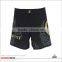 High Quality Custom Desgin Sublimated Print Fight Mma Shorts