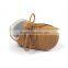 The eplosion of multicolor baby soft bottom shoes / leisure shoes 0-1 age baby shoes 1466