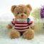 Brown and White Custom Plush Toy Teddy Bear