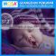 2015 Household Vipose iFever Novelty Bluetooth Smart Thermometer Intelligent Baby Monitor,Baby Intelligent Thermometer