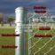 chain link fence fittings pvc green chain link fence for garden fence