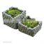 Hot Selling  Home and Garden Succulent Plant Pot