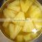 Delicious Fresh and In light Syrup Canned pineapple