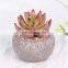 Genuine Wholesale Decorative Plant Bonsai Ornament Mini Set Plants Potted Artificial Succulent Plants With Pot