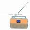 2015 New Exclusive Shining Orange PLL Portable Radio