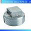 1 " Threaded NPT Square Head Plug Pipe Fitting
