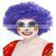 Multi Color Afro Wig Clown Disco Circus Costume Curly Hair Wig Adult Child