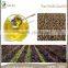 2015 new products food grade perilla seed oil with best price