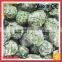 Frozen Fresh Bqf Spinach Pieces