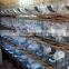 factory wholesale rabbit hutches with wire mesh