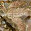 100% polyester embroidery fashion fabric in 2015