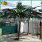 Factory price plastic coconut tree handmade artificial coconut palm tree for plaza decor                        
                                                                                Supplier's Choice