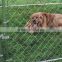 2016 Anping chain link fence , cheap chain link dog kennels for sale