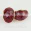 beautiful korean rhinestone stud earring for elegant women