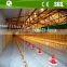 Full automatic chicken equipment poultry farming shed