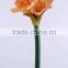 67 cm PVC Real Touch Amaryllis Spray with 4 Flowers Artificial Flower