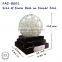 Silver Leaf Custom Snow Globe Crystal Ball Centerpiece