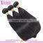 Factory supply virgin brazilian hair free sample to customers test quality virgin hair extensions free sample hair bundles