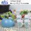 2015 New Design 5pcs Water Kettle With Ceramic Cups/coffee And Tea Kettle Set/whistling Kettle With Mugs