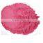 GMP Factory Supply Dried Blueberry Powder