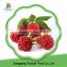 China 2016 new crop IQF frozen red raspberry for export